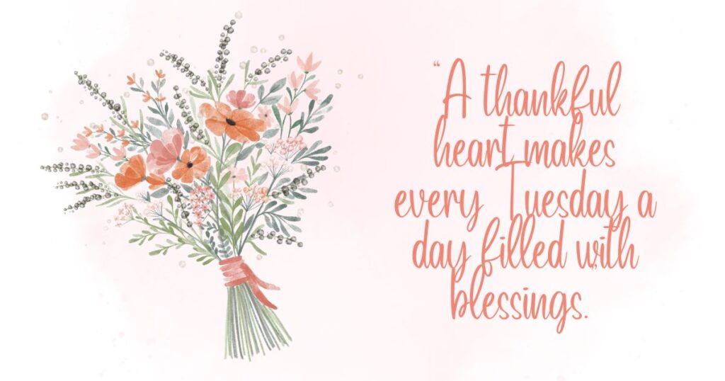 A Day Filled With Tuesday Blessings