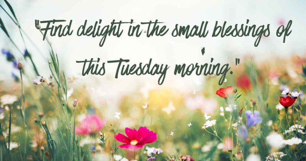 Bountiful Tuesday Blessings