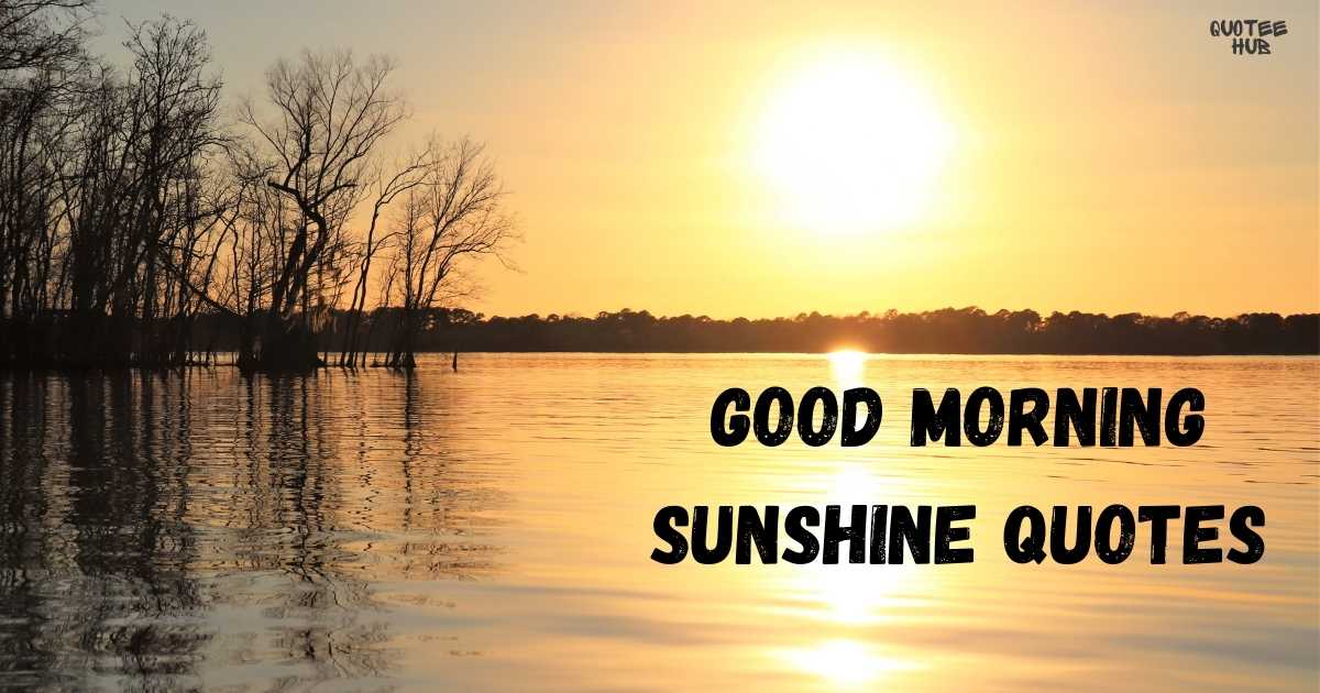 Good Morning Sunshine Quotes