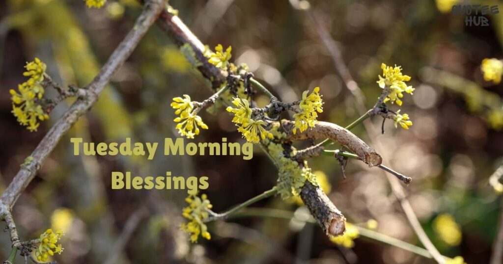 Tuesday Morning Blessings Images