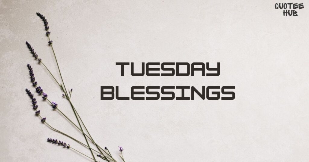 Tuesday Blessings