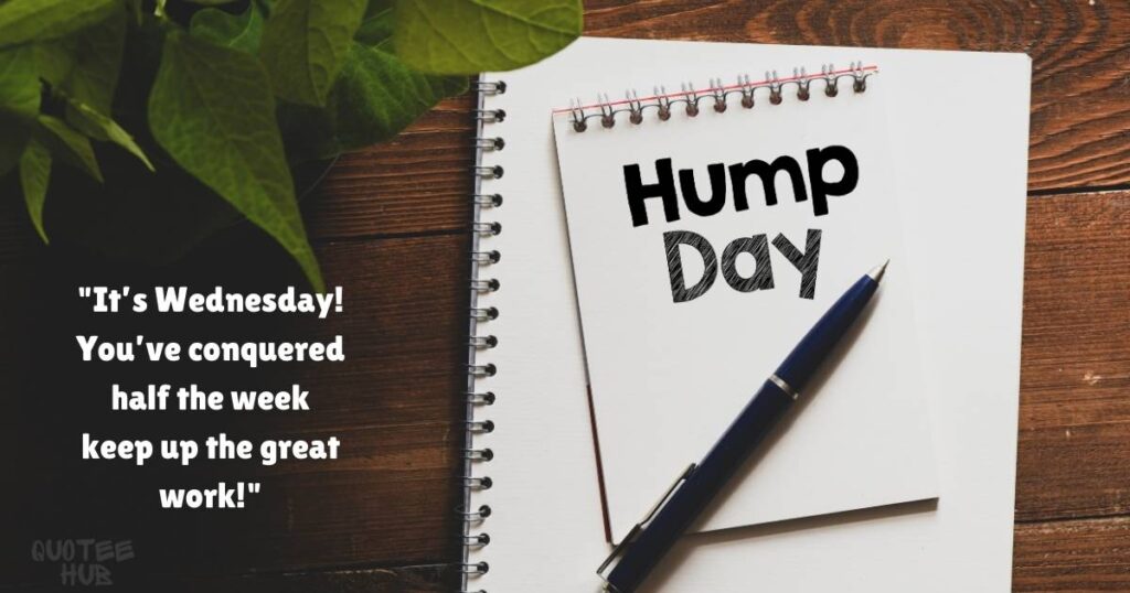 Hump Day Quotes