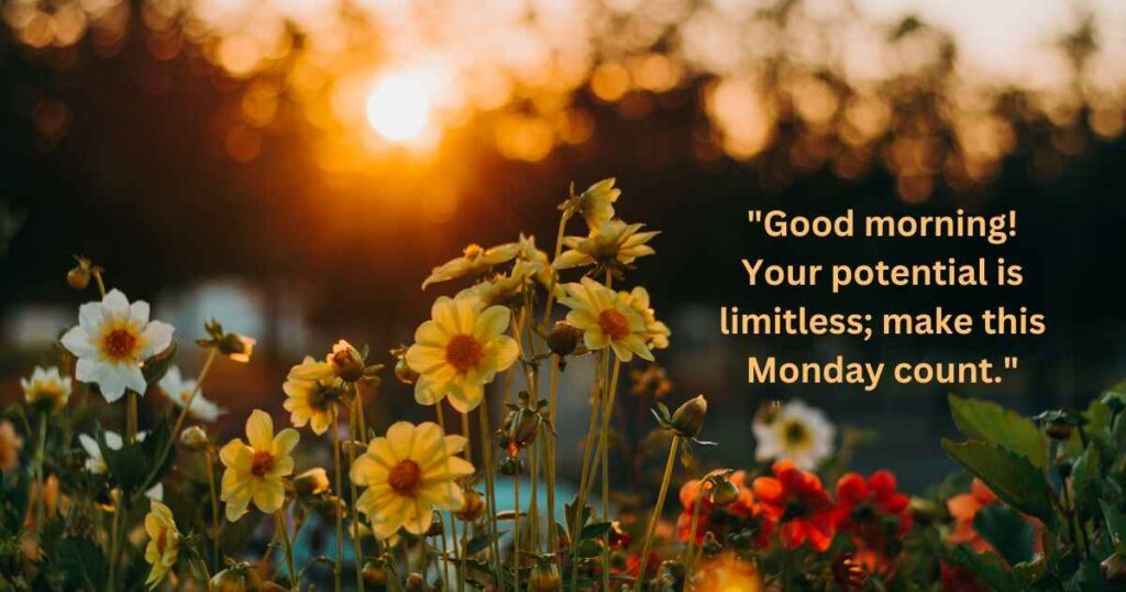 Monday Good Morning Inspirational Quotes 