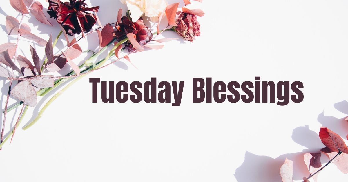 Tuesday Blessings