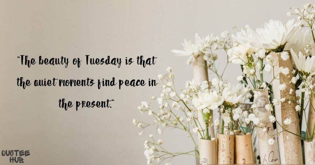 Beautiful Happy Tuesday Quotes