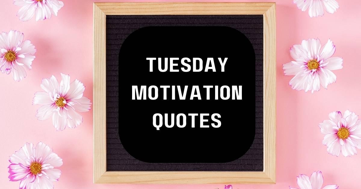 Tuesday Motivation Quotes