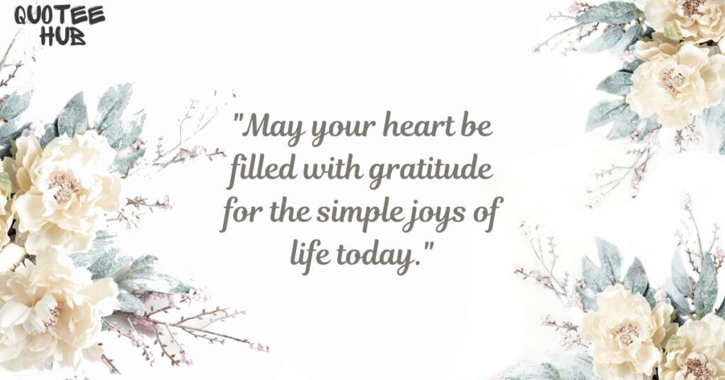 Gratitude Wednesday